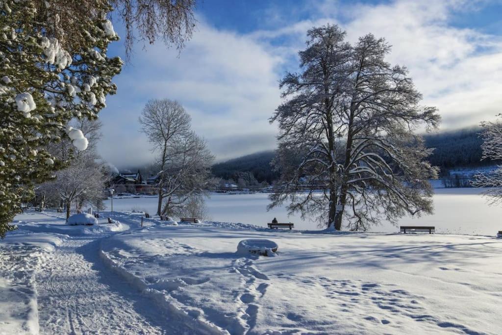 Waldblick Titisee Apartment Exterior photo