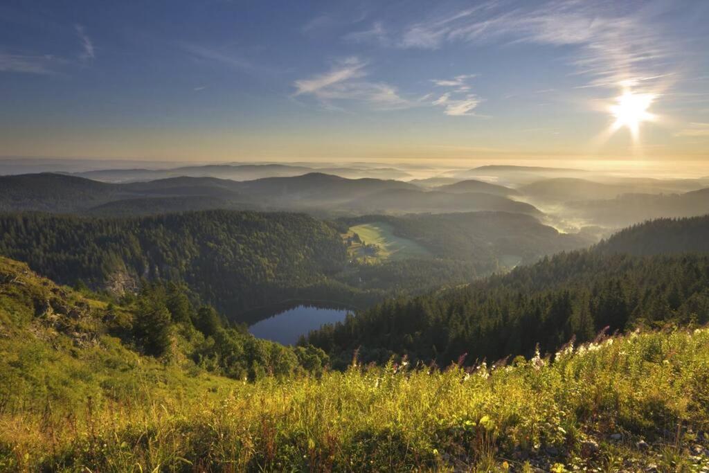 Waldblick Titisee Apartment Exterior photo