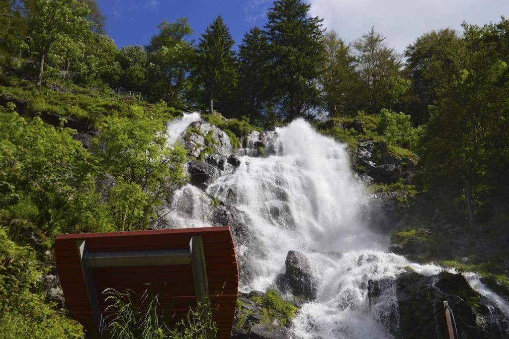 Waldblick Titisee Exterior photo
